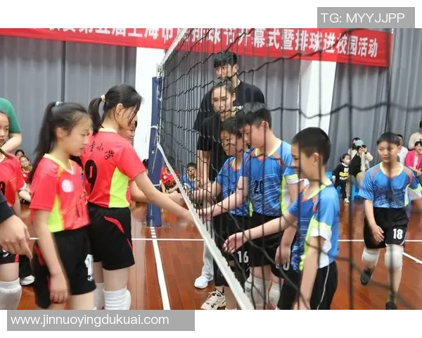 专访排球教练陈强揭秘球队成功背后的训练与策略