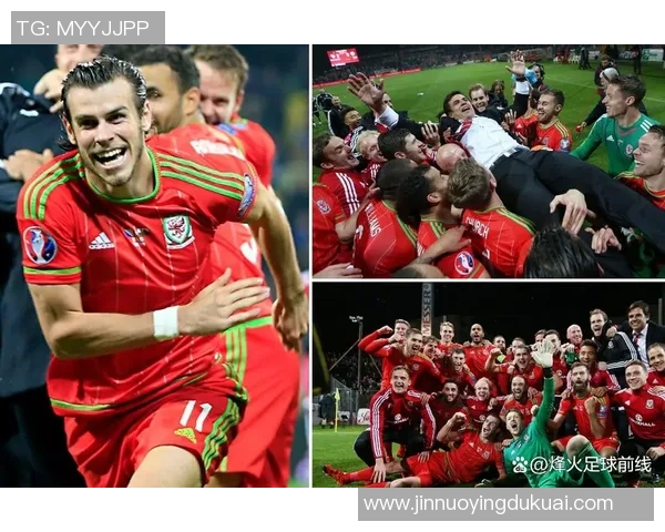 波黑足球明星盘点：那些在国际赛场上闪耀的传奇球员