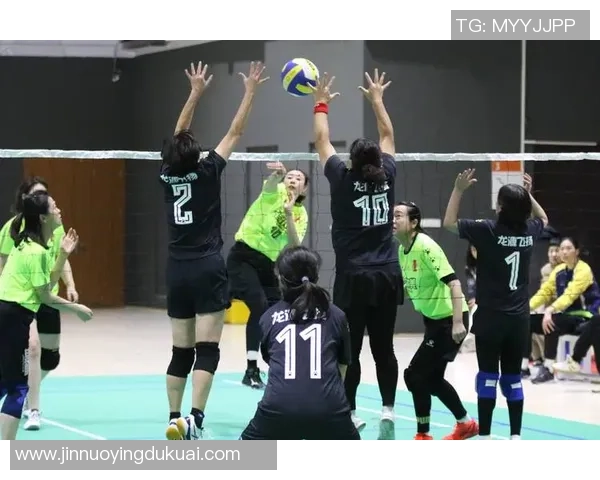 权威发布：2023年排球团队协作实力排行榜揭晓各队表现分析