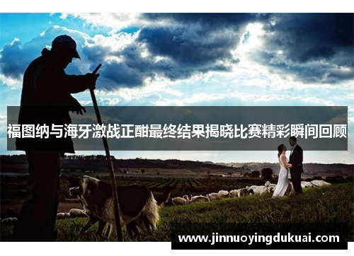 福图纳与海牙激战正酣最终结果揭晓比赛精彩瞬间回顾