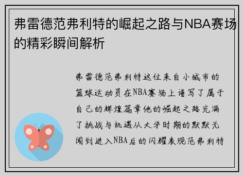 弗雷德范弗利特的崛起之路与NBA赛场的精彩瞬间解析